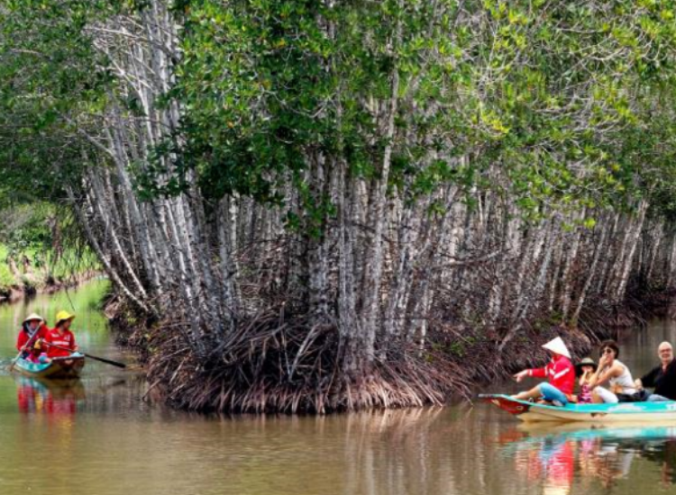 Du khách trải nghiệm đi xuồng khám phá rừng ngập mặn trong hành trình tour Cà Mau 30/4